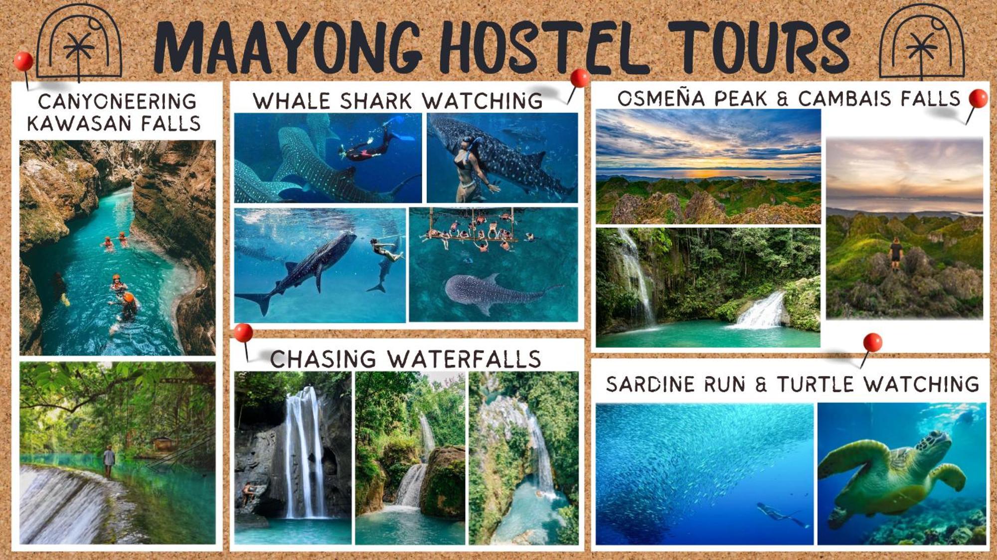Maayong Hostel (Adults Only) 莫阿尔博阿 外观 照片